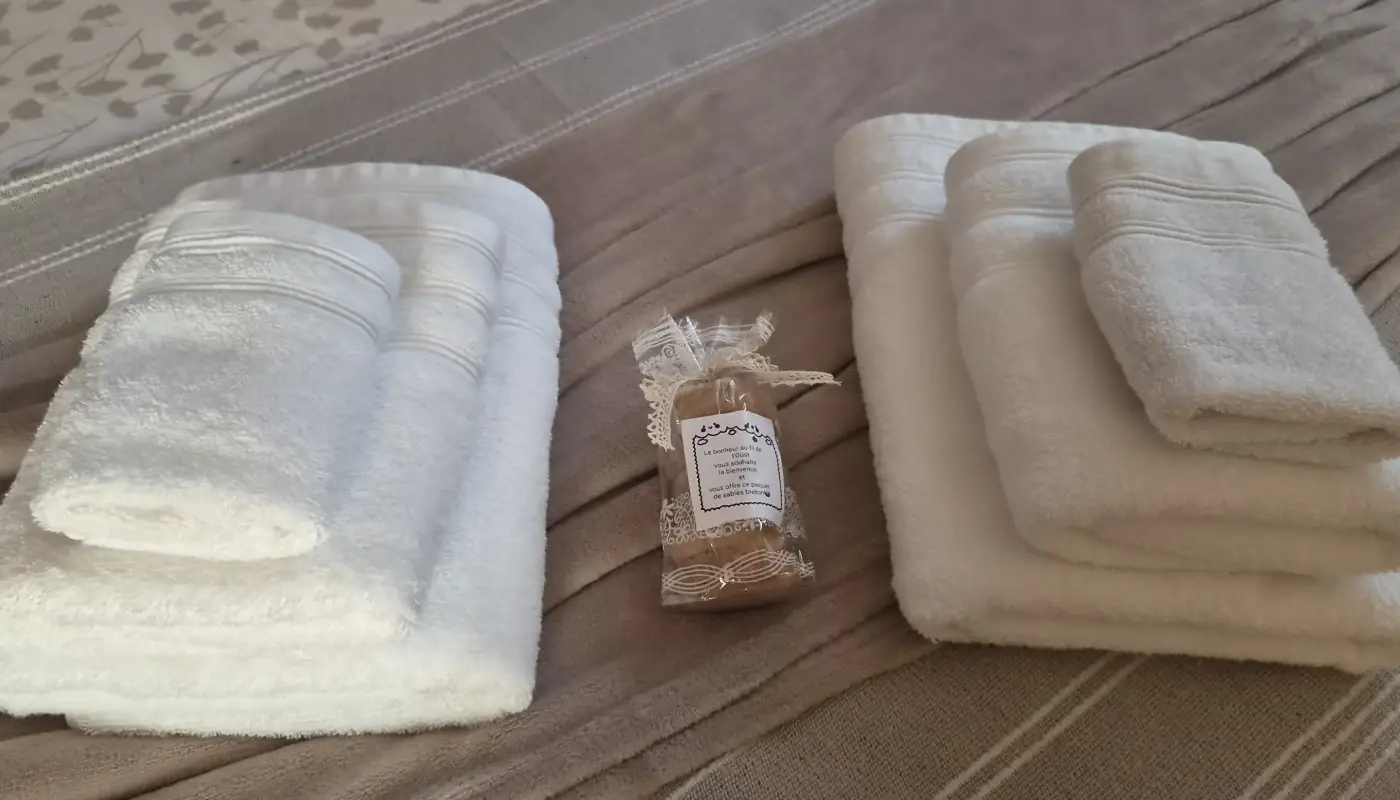 Détail de la décoration de la chambre Papillon